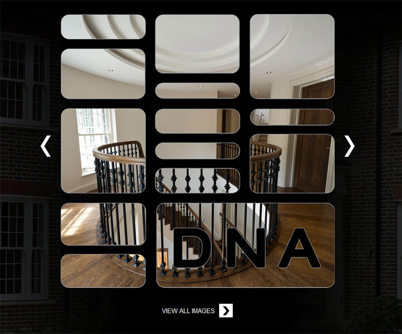 DNA IC Gallery Animation